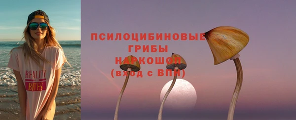 соль ск Алзамай