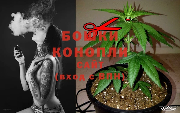 соль ск Алзамай