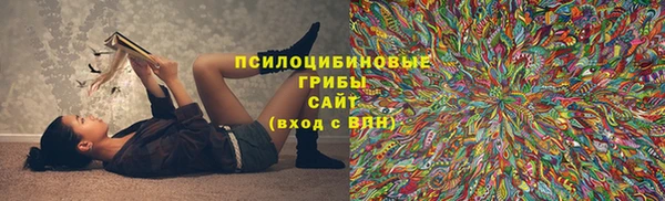 соль ск Алзамай